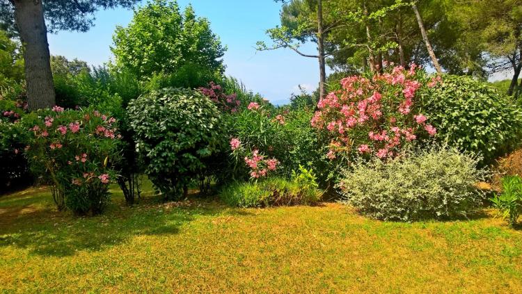ACHAT SAINT RAPHAEL LE DRAMONT: confortable appartement trois pièces en rez-de-jardin cloturé. Commerces, plage et commodités à pieds